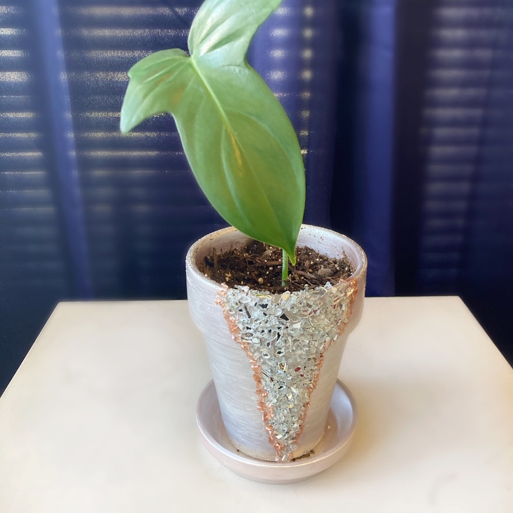 Hand designed geode pot